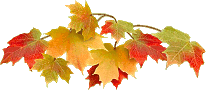 feuilles d'automne